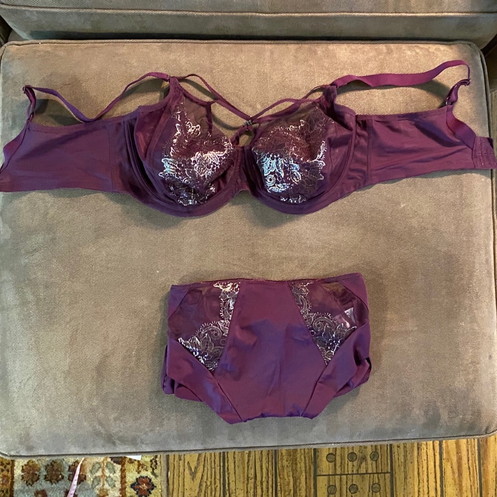 No tags, EUC Elomi 38FF cage bra and XL panty set